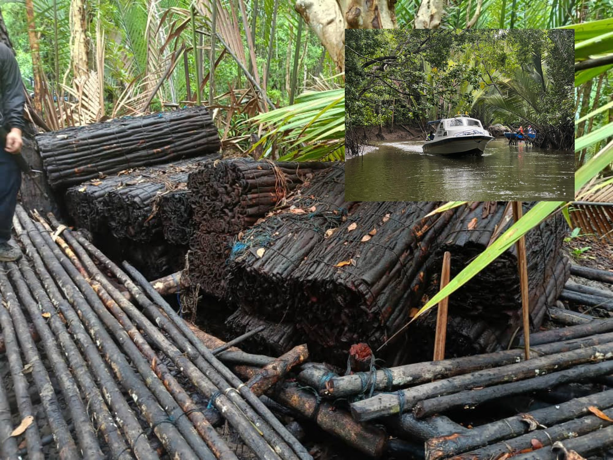PPM, Jabatan Perhutanan tumpaskan cubaan curi kulit kayu tangar ...